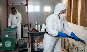 Mold remediation services in Olathe, KS for water damage cleanup and home protection